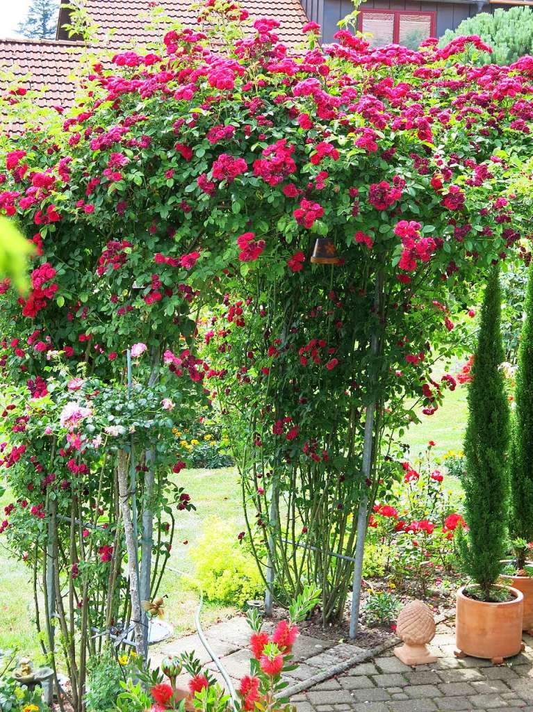 Blumen, Strucher, Bume, Gemse, Kruter und mehr gedeihen im Garten von Ingrid und Herbert Wehrle. Skulpturen, Brunnen, Natursteinmauern, Insektenhotel und Sitzgruppen ergnzen die blhende Oase.