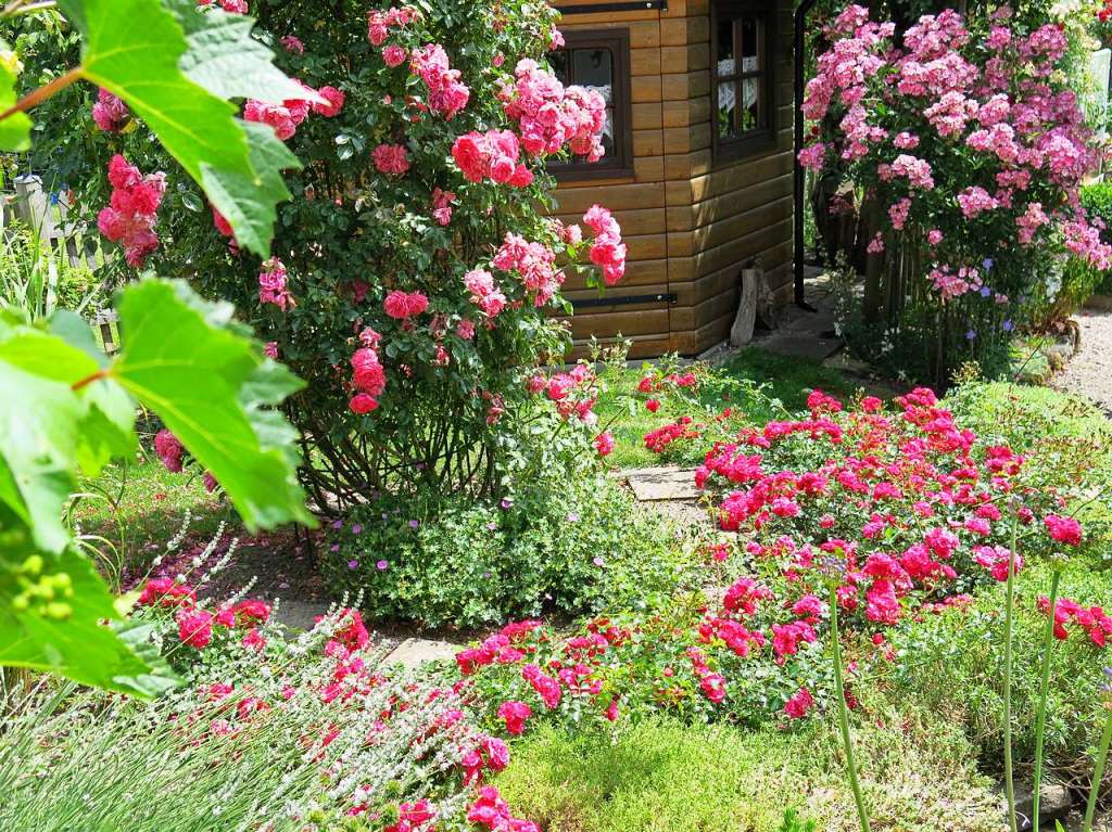 Blumen, Strucher, Bume, Gemse, Kruter und mehr gedeihen im Garten von Ingrid und Herbert Wehrle. Skulpturen, Brunnen, Natursteinmauern, Insektenhotel und Sitzgruppen ergnzen die blhende Oase.