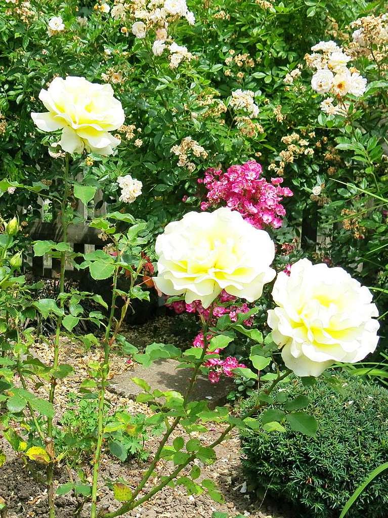 Blumen, Strucher, Bume, Gemse, Kruter und mehr gedeihen im Garten von Ingrid und Herbert Wehrle. Skulpturen, Brunnen, Natursteinmauern, Insektenhotel und Sitzgruppen ergnzen die blhende Oase.