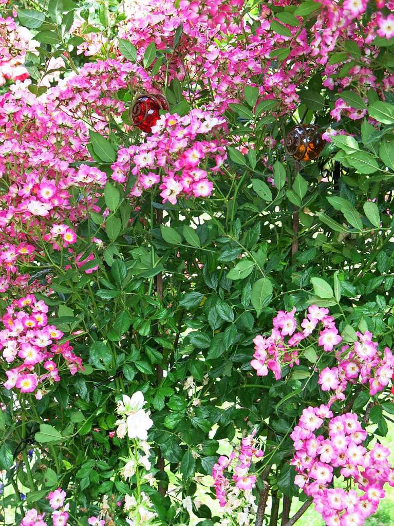 Blumen, Strucher, Bume, Gemse, Kruter und mehr gedeihen im Garten von Ingrid und Herbert Wehrle. Skulpturen, Brunnen, Natursteinmauern, Insektenhotel und Sitzgruppen ergnzen die blhende Oase.