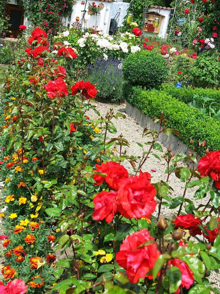 Blumen, Strucher, Bume, Gemse, Kruter und mehr gedeihen im Garten von Ingrid und Herbert Wehrle. Skulpturen, Brunnen, Natursteinmauern, Insektenhotel und Sitzgruppen ergnzen die blhende Oase.