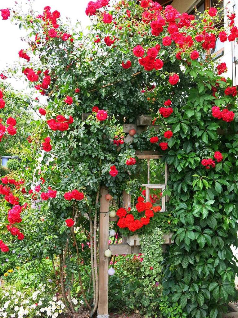 Blumen, Strucher, Bume, Gemse, Kruter und mehr gedeihen im Garten von Ingrid und Herbert Wehrle. Skulpturen, Brunnen, Natursteinmauern, Insektenhotel und Sitzgruppen ergnzen die blhende Oase.