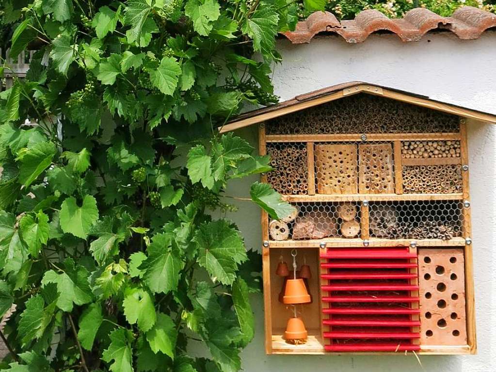 Blumen, Strucher, Bume, Gemse, Kruter und mehr gedeihen im Garten von Ingrid und Herbert Wehrle. Skulpturen, Brunnen, Natursteinmauern, Insektenhotel und Sitzgruppen ergnzen die blhende Oase.