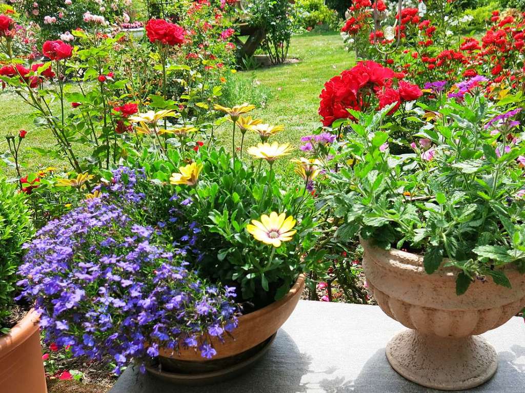 Blumen, Strucher, Bume, Gemse, Kruter und mehr gedeihen im Garten von Ingrid und Herbert Wehrle. Skulpturen, Brunnen, Natursteinmauern, Insektenhotel und Sitzgruppen ergnzen die blhende Oase.