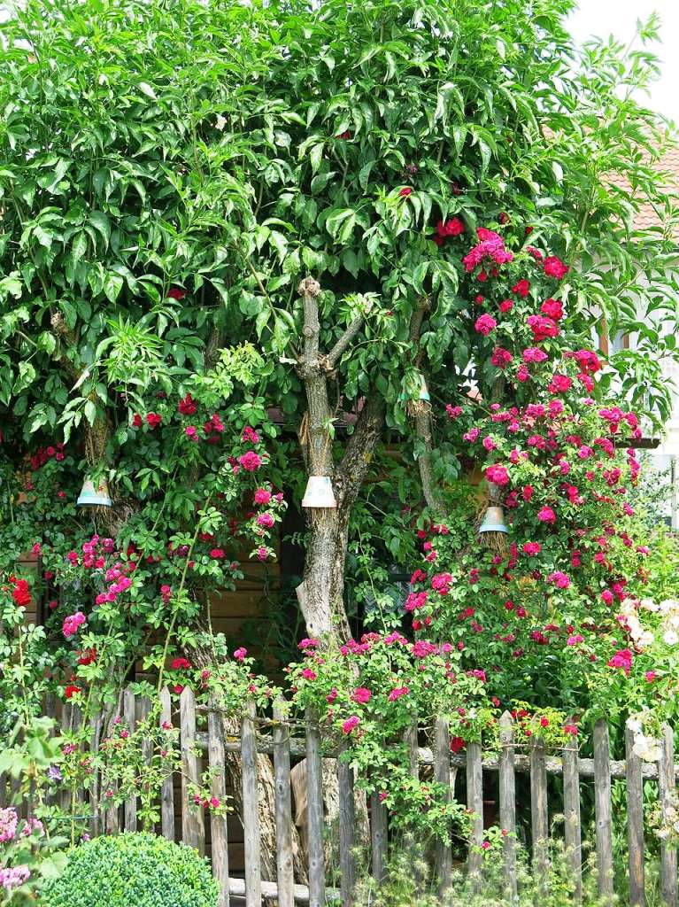 Blumen, Strucher, Bume, Gemse, Kruter und mehr gedeihen im Garten von Ingrid und Herbert Wehrle. Skulpturen, Brunnen, Natursteinmauern, Insektenhotel und Sitzgruppen ergnzen die blhende Oase.