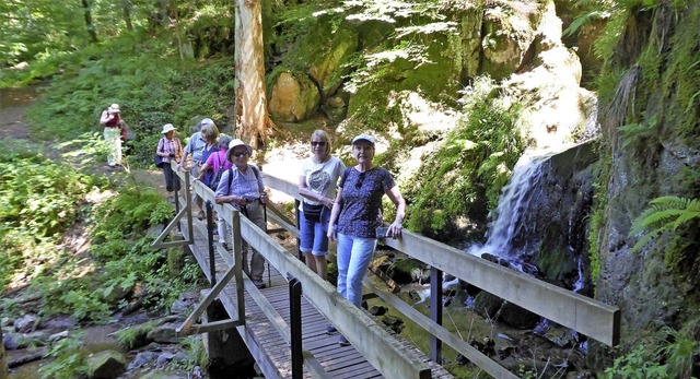 Idyllisch rauscht das Wasser im schattigen Wald am Altersbacher Wasserfall.   | Foto: SWV