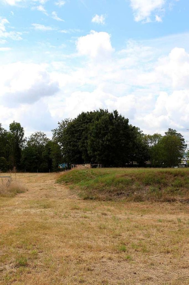 Der keltische Grabhgel ist Anlass fr... das Neubaugebiet weiter geplant wird.  | Foto: Daniel Hengst