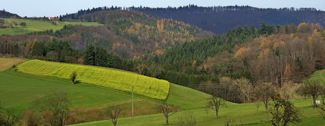 Die malerische Landschaft zieht viele Touristen nach Freiamt.  | Foto: hans-jrgen trul