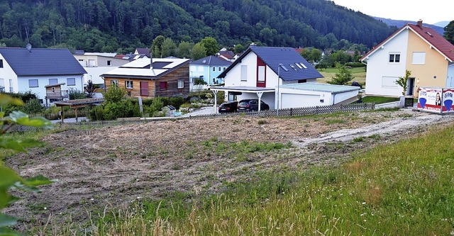 In diesem Baugebiet im Loh sollen drei...mt Garagen und Grnflchen entstehen.   | Foto: Edgar Steinfelder