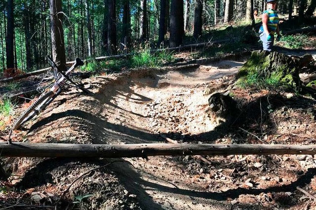 ste auf dem Trail gefhrden Mountainbikefahrer.  | Foto: Mountainbike e. V.