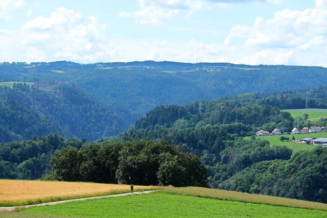 Der Blick reicht weit: Unterwegs auf dem Hotzenwlder Hutpfad in einsamer Natur.  | Foto: Birgit-Cathrin Duval