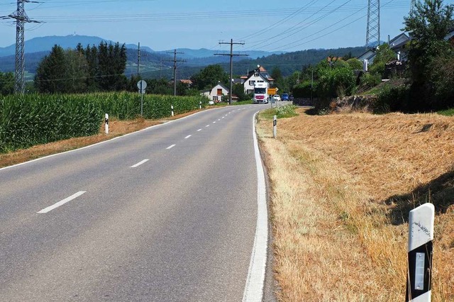 Blick auf den Ortseingang von Rmmingen  | Foto: Herbert Frey