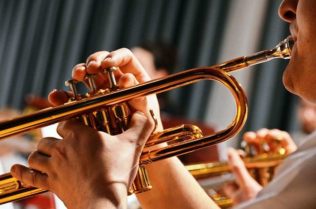 Musikvereine mssen sich an neue Regel... Musikeralltag in mancherlei Hinsicht.  | Foto: Kathrin Blum