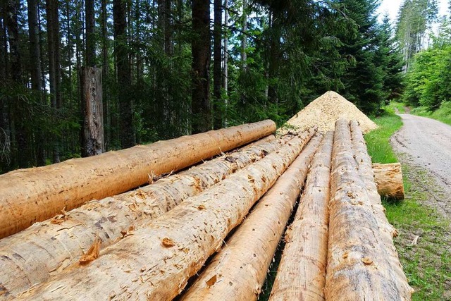 Wenn Stammholz sich partout nicht mehr... ist, hilft nur noch Hckseln im Wald.  | Foto: Martha Weishaar
