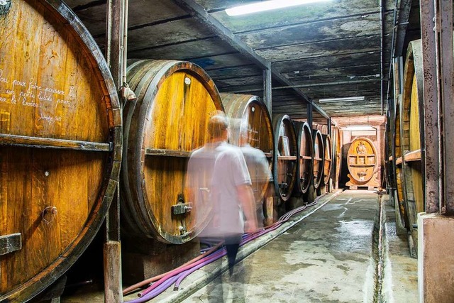 Rund 150 Millionen Flaschen Wein werde...t wird wie bei Zeysloff in Gertwiller.  | Foto: Maison