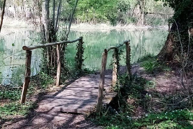 Wanderung: Bei Wittenweier kann man wandernd den 