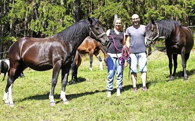 Auf der hauseigenen Koppel in Bubenbac... tglich mit ihren Pferden und Ponys.   | Foto: Gert Brichta