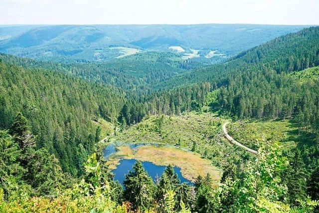 Wanderungen fr die Seele im Nordschwarzwald