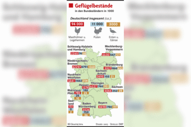 Vogelgrippe bei Puten in Sachsen