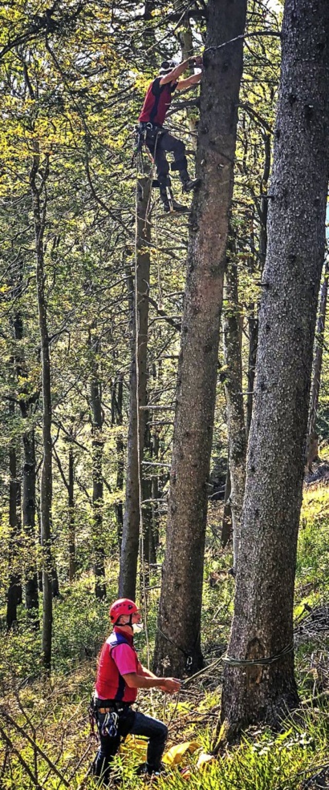 Die Bergwacht auf dem Weg nach oben  &...hnes Stck weit hher im Tannenbaum.   | Foto: Bernd Fackler