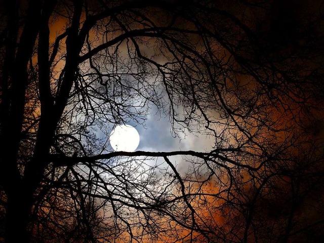 Bei Mondschein klettern &#8211; eine besondere Herausforderung.  | Foto: Eric Mika