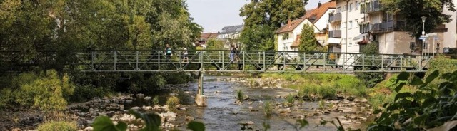 Der Jnglingssteg erhielt bei der jng...Note und muss zeitnah ersetzt werden.   | Foto: Gabriele Zahn