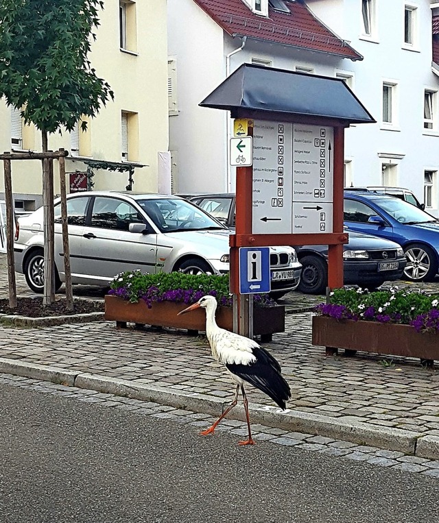   | Foto: Beate Zehnle-Lehmann