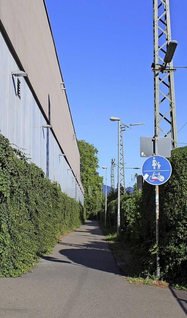 Knftig hat Emmendingen einen Gleisweg...isbrcke und einen Gebrder-Kahn-Weg.   | Foto: Annika Sindlinger