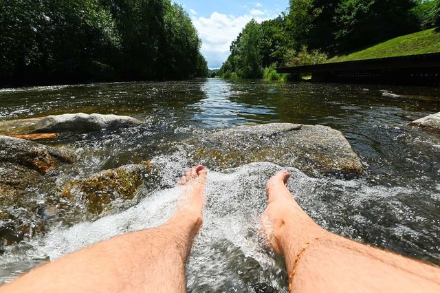 Statt in der Wiese zu chillen, sollen ...Personen geprgelt haben (Symbolfoto).  | Foto: Jonas Hirt