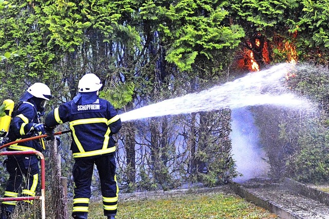 Die Tujahecke in der Roggenbachstrae ...e Feuerwehr lschte den Brand schnell.  | Foto: Edgar Steinfelder