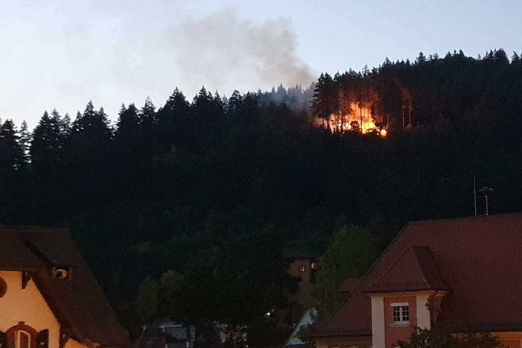 Feuerwehr Bekämpfte Waldbrand In Unwegsamem Gelände - Freiburg ...