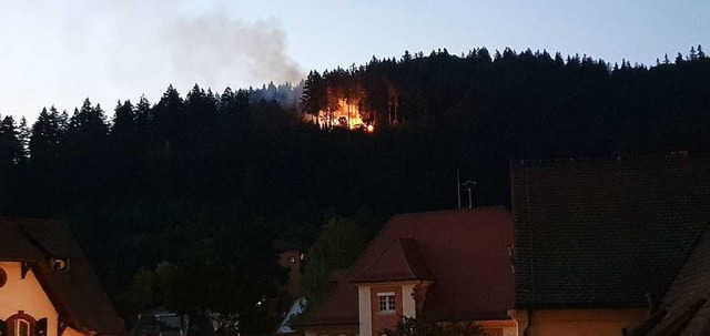 Das Feuer war auch vom Klosterplatz in Gnterstal sehr gut zu sehen.  | Foto: Ute Nostadt