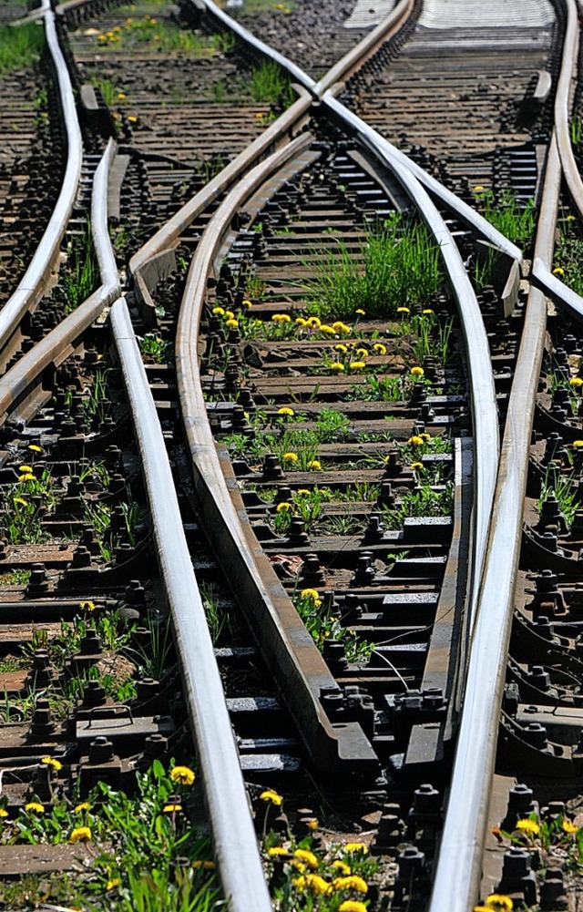 Gleise sind keine Abenteuerspielpltze, sagen Bahn und Polizei.  | Foto: Jens Bttner