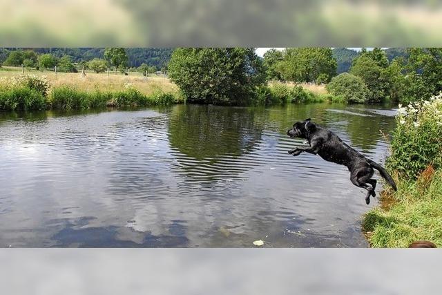 Hundstage machten ihrem Namen bislang alle Ehre