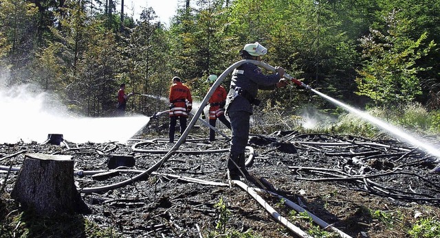 65 Feuerwehrmnner lschten 2008 einen...ine weitere Hitzewelle erwartet wird.   | Foto: Peter Schtz (Archivbild)