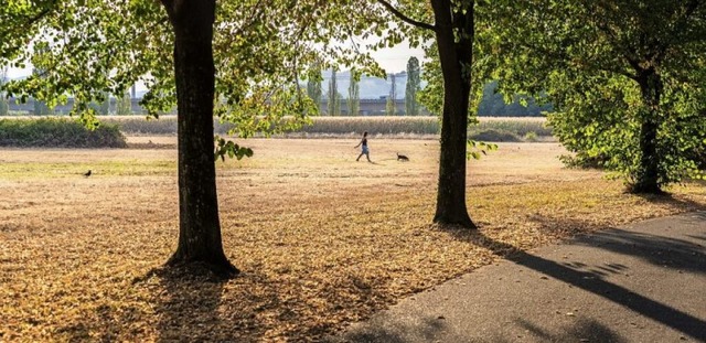 Der Boden wirkt vertrocknet. Im Hinter...au mit ihrem Hund im leeren Grttpark.  | Foto: Viktor Krieger