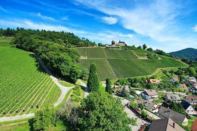 Auf dem Ortenauer Weinpfad von Baden-Baden nach Gernsbach