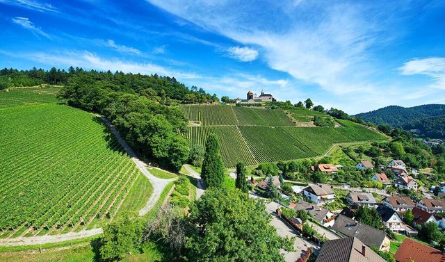 Weinberge rund um Schloss Eberstein ber den Dchern von Gernsbach.  | Foto: weinparadies