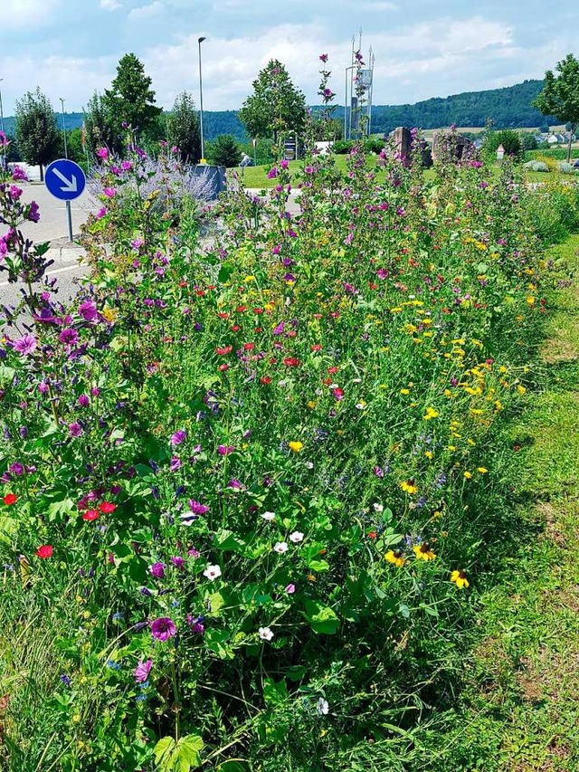 Wildblumen an den Ortseingngen der Ge...sind willkommene Nahrung fr Insekten.  | Foto: Beate Zehnle-Lehmann