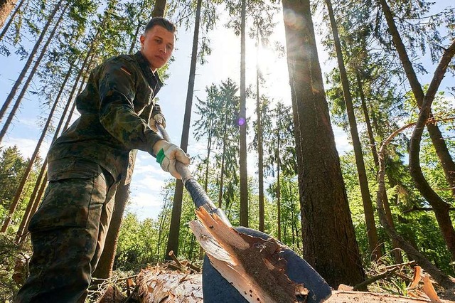 In Rheinland-Pfalz untersttzt die Bun...sitzer im Kampf gegen den Borkenkfer.  | Foto: Thomas Frey (dpa)