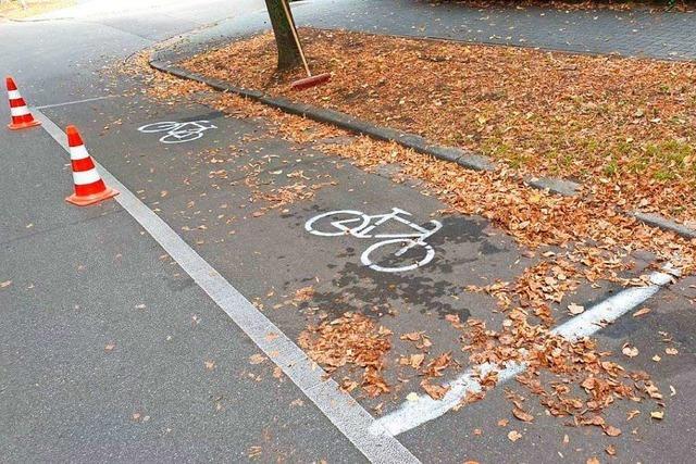Unbekannte sprühen wieder illegale Fahrrad-Piktogramme in Freiburg
