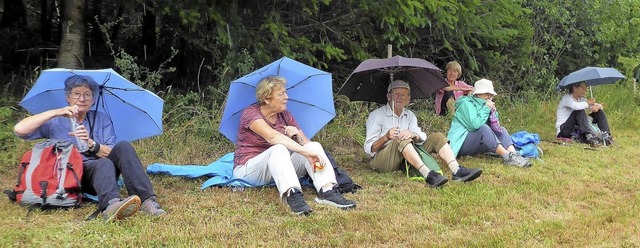 Schirmherren und -damen vom Schwarzwal...&#8222;Rund um den Kohlenbach&#8220;.   | Foto: Zillgith/Dreher