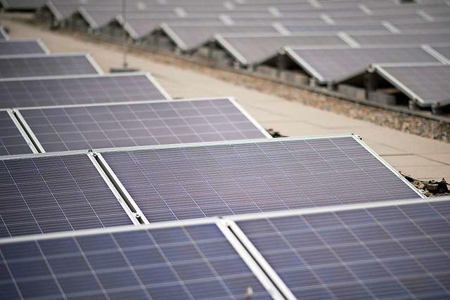 Lörracher Grüne wollen eine Solarpflicht – doch das ist nicht so einfach
