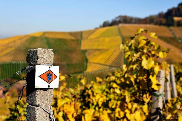 Wegzeichen des Ortenauer Weinpfadsbei Ortenberg  | Foto: Thomas Kunz