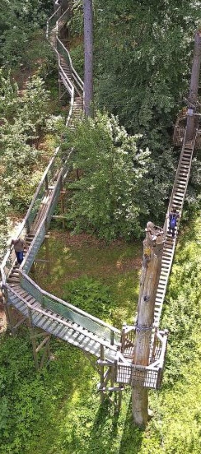 Hoch oben: Baumkronenweg in Waldkirch.   | Foto: ztl