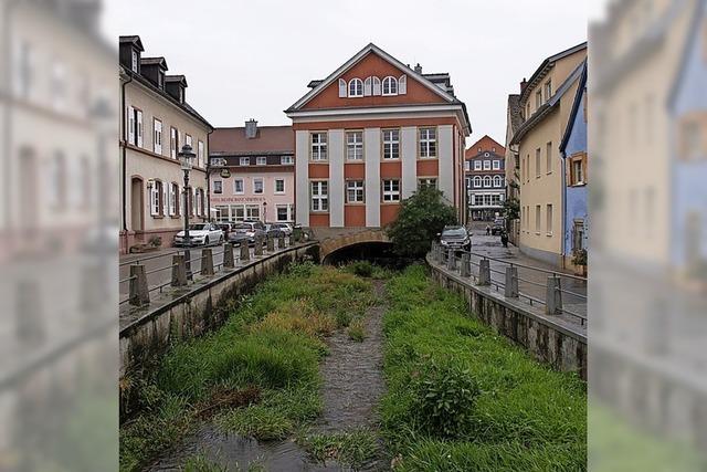 Ufermauer soll erhht werden