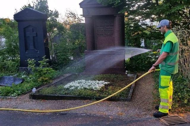 Basler Stadtgrtnerei will das Grn schadlos durch die Trockenheit bringen