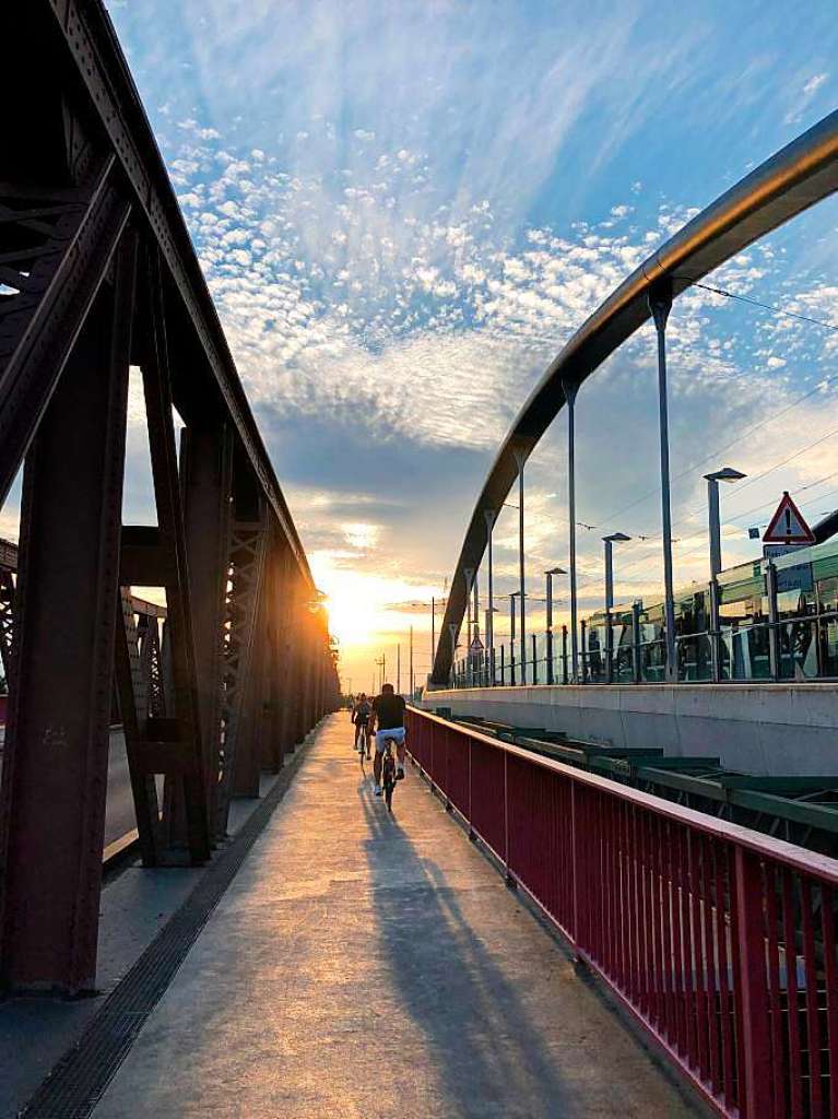 Anja Istenes: Fahrradtour der Abendsonne entgegen, in Weil am Rhein auf der Friedensbrcke Richtung Friedlingen.