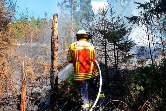 Einsatz in Stegen Mitte Juli: Die Feuerwehr lscht einen Vegetationsbrand.  | Foto: Feuerwehr Stegen