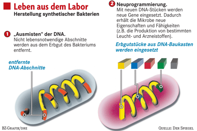 Leben aus der Bastelkiste